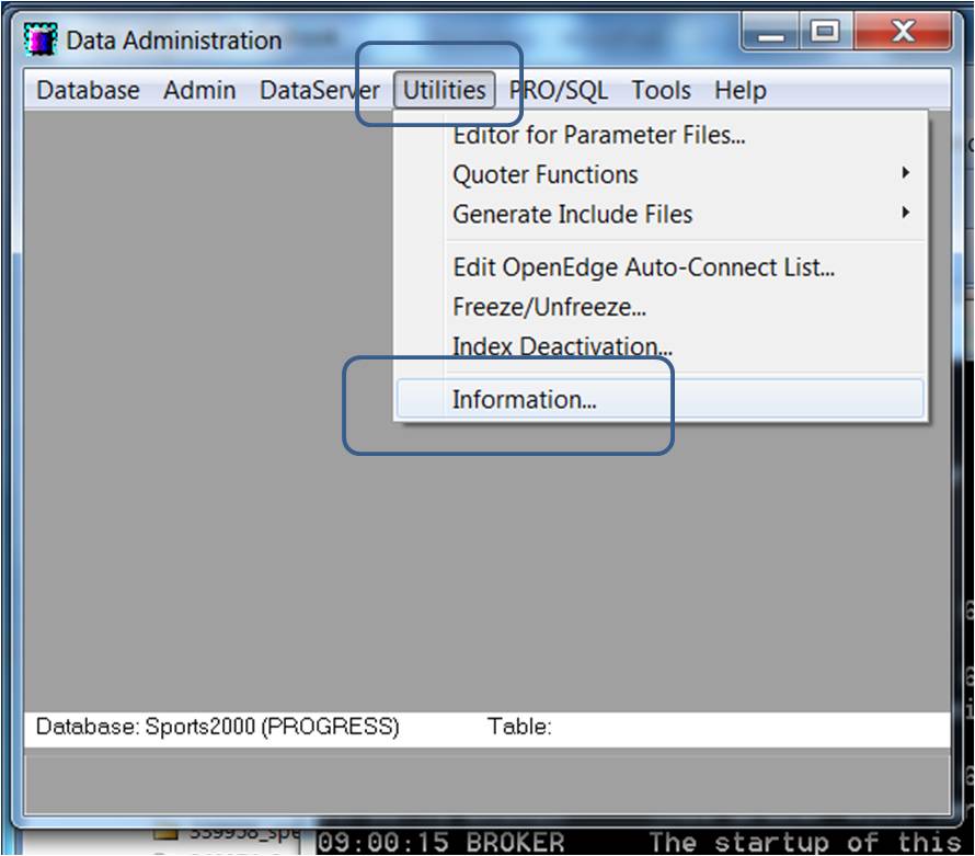 Click the Utilities tab and select Information from the pull-down menu