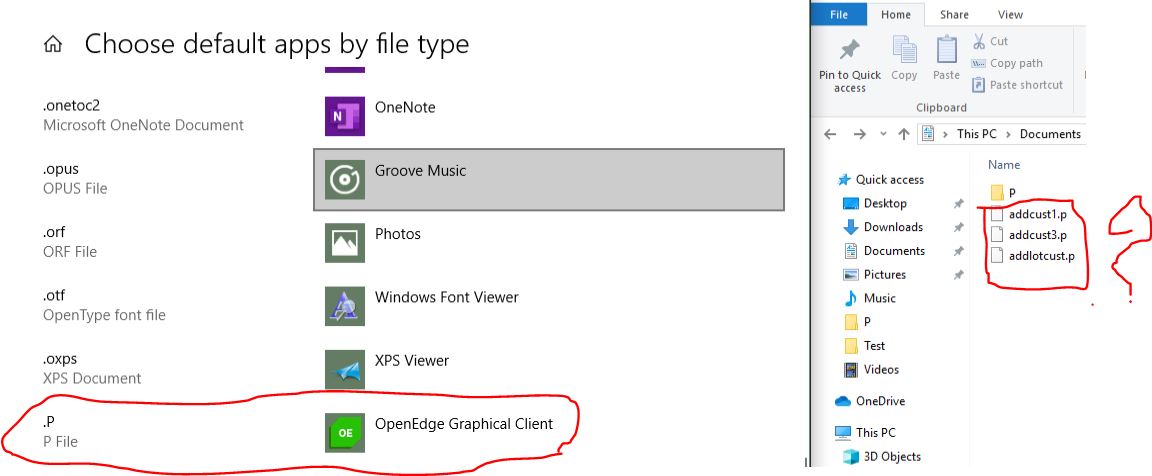 Icon images missing in Windows 10 Explorer for Progress files ...