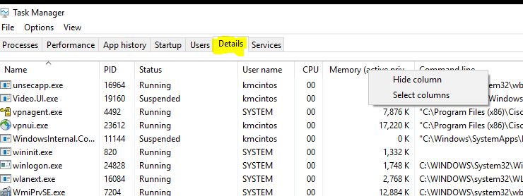 Pro2 - How to identify Pro2 processes in Task Manager in Windows ...