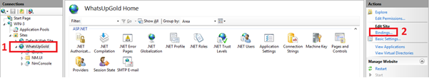 WhatsUp Gold IIS Site