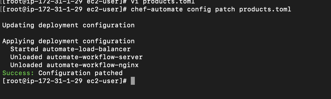 A screenshot of a computer  Description automatically generated
