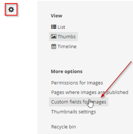How to render custom fields in the upload screen for images, documents ...