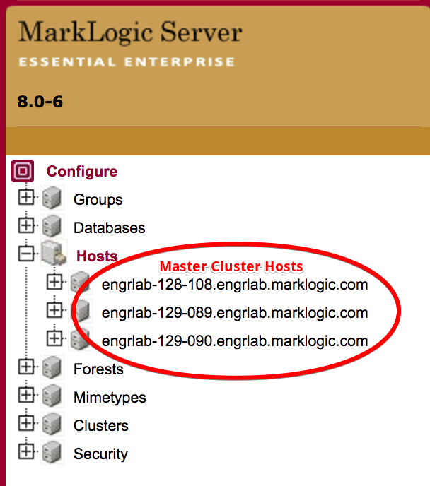 1_Master_Cluster_Hosts.png