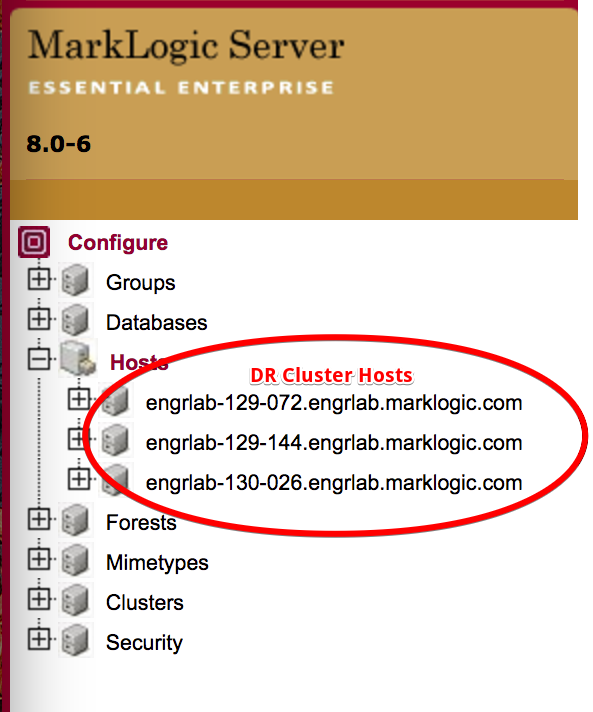 DR_Cluster_Hosts