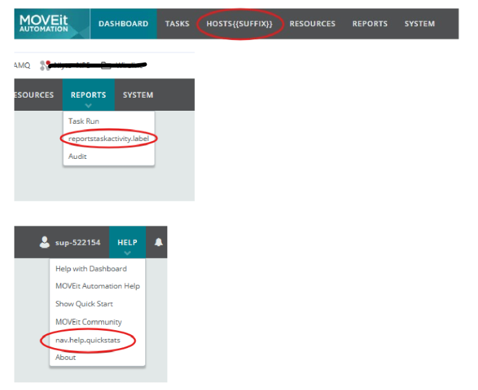 MOVEit Automation Web Admin UI displays some extra headers on Hosts tab ...