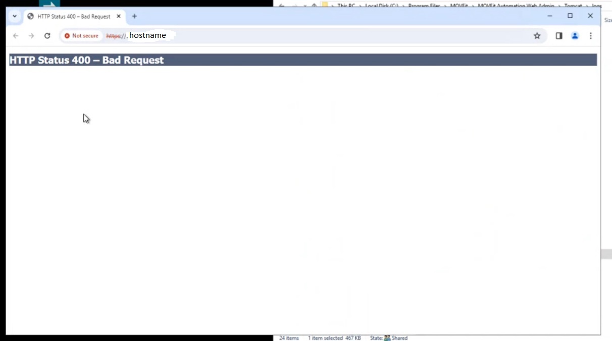shows the error that is displayed when the hostname is used in the URL